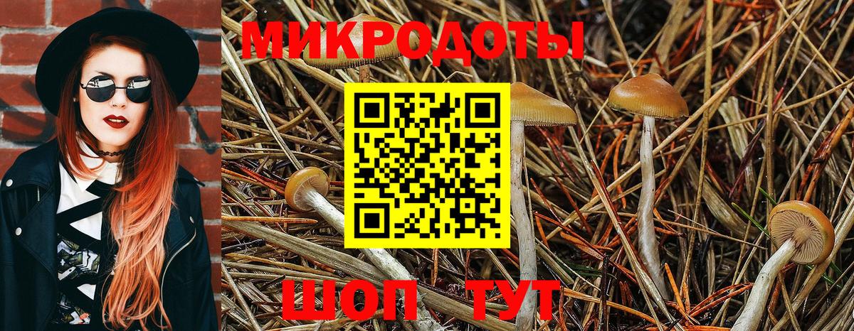 Знаменск  Псилоцибиновые грибы Psilocybe  Псилоцибиновые грибы MAGIC MUSHROOMS  Вход с VPN 
